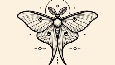 moth tattoo meaning