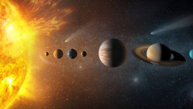 farewell to life on earth